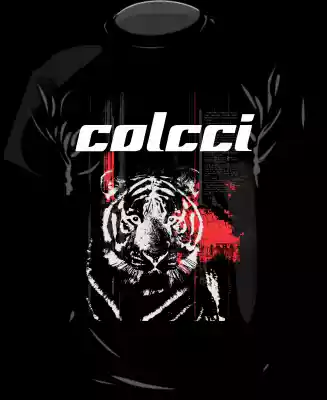 vectores plantilas MARCA,MARCA ROPA,